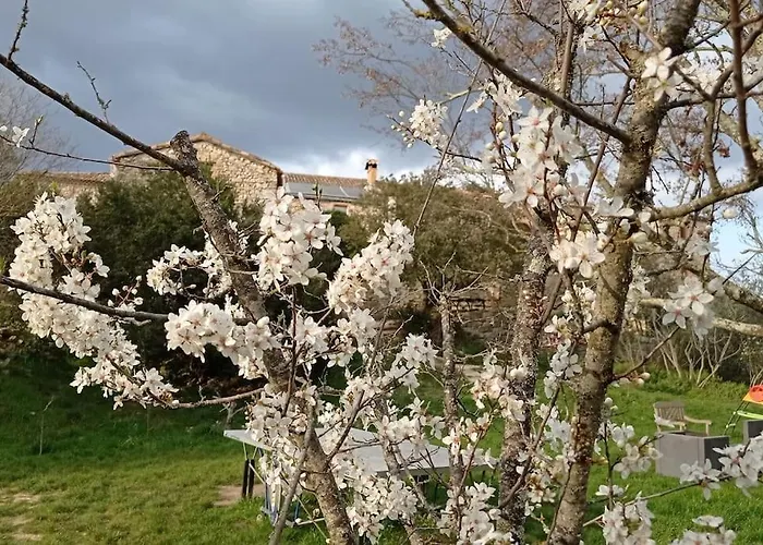 Du Mas Champion - Piscine, Soleil, Nature & Calme - Groupes *